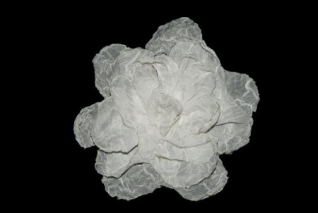 Dalia