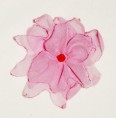 Flor rosa
